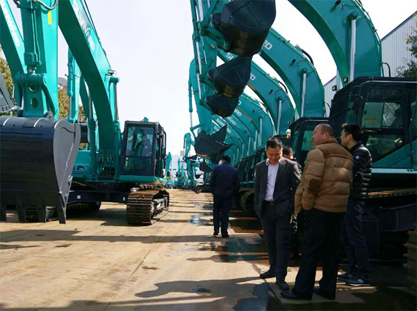 快来看，，，，，快来看，，，，，这里有一群绿精灵