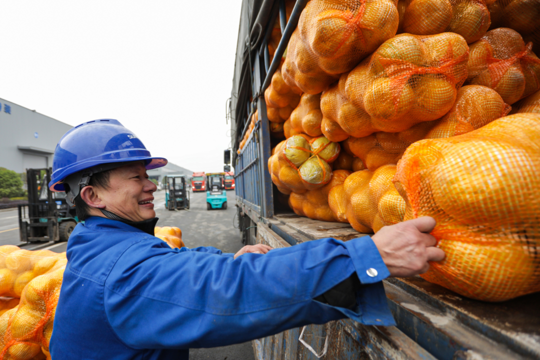 点赞！云顶国际yd888智能乐成入选“上市公司墟落振兴优异实践案例”